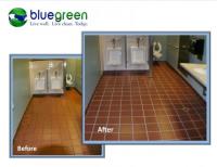 Bluegreen Carpet And Tile Cleaning image 3